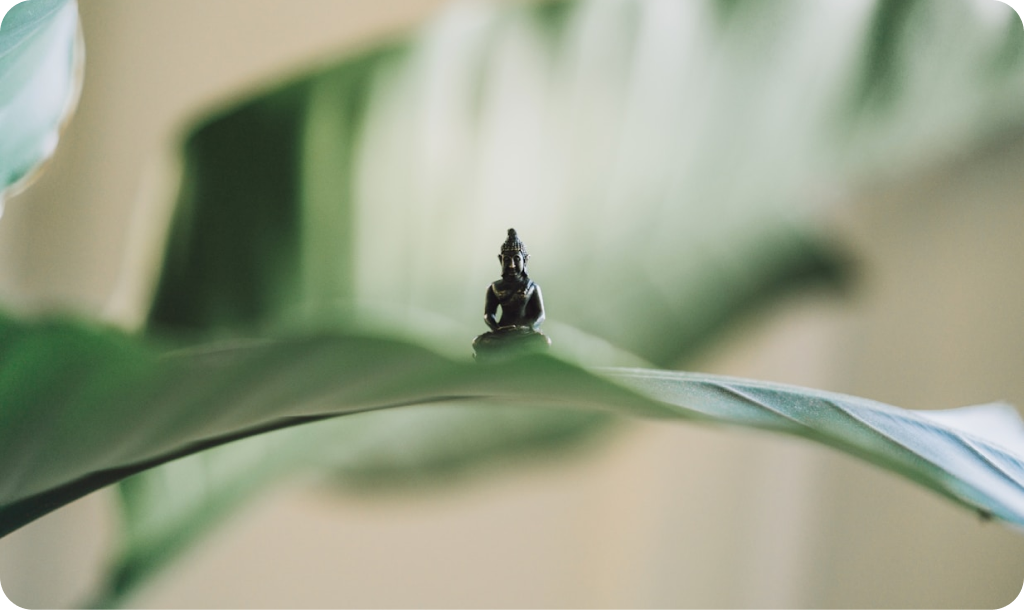 Kezdő Hatha Jóga oktatás