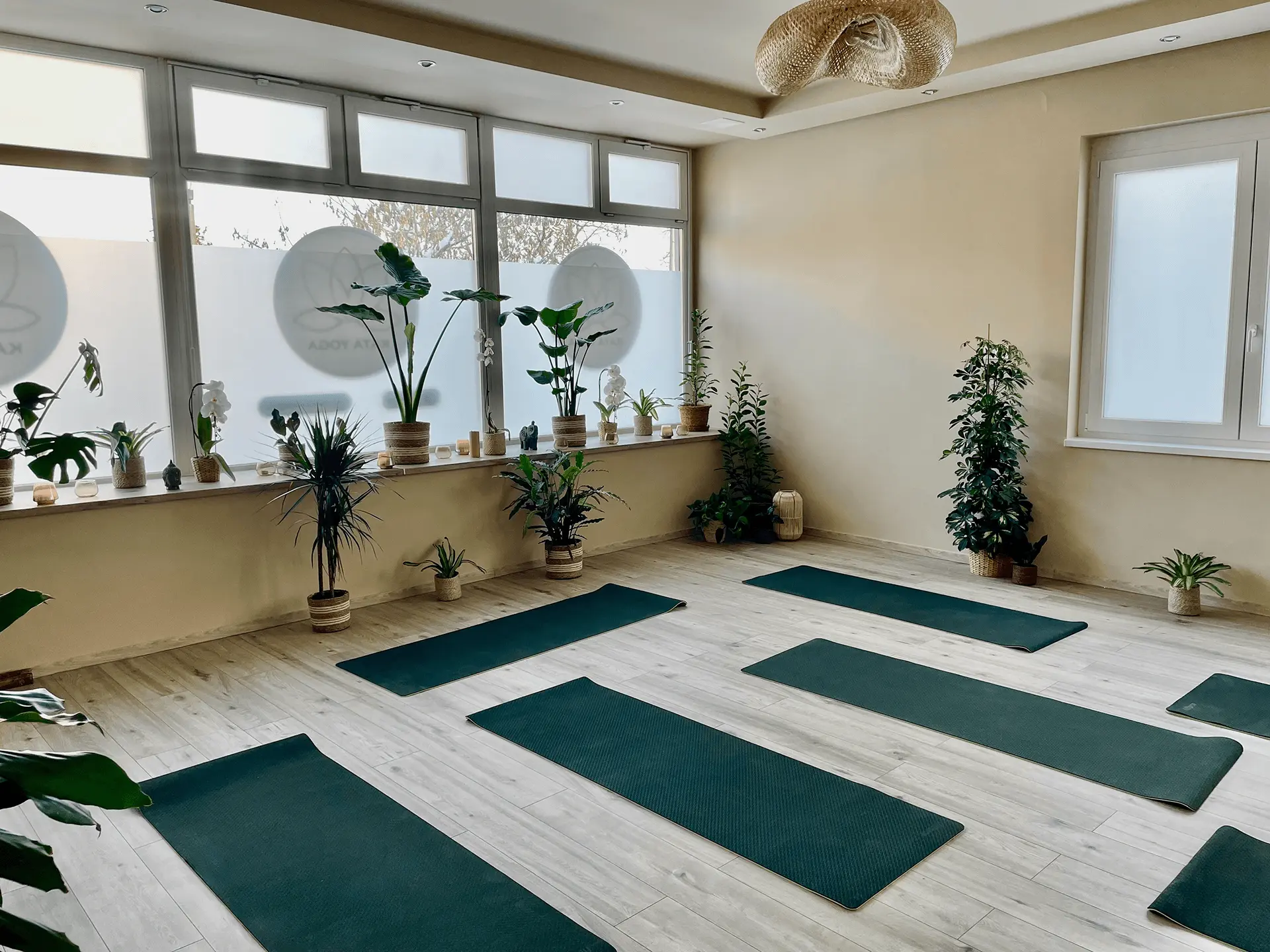 katayoga-joga-hatha-flow