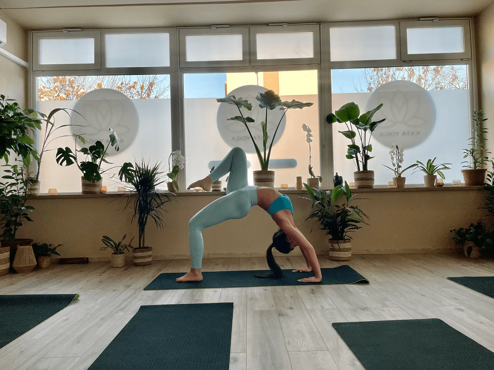 katayoga-joga-hatha-joga