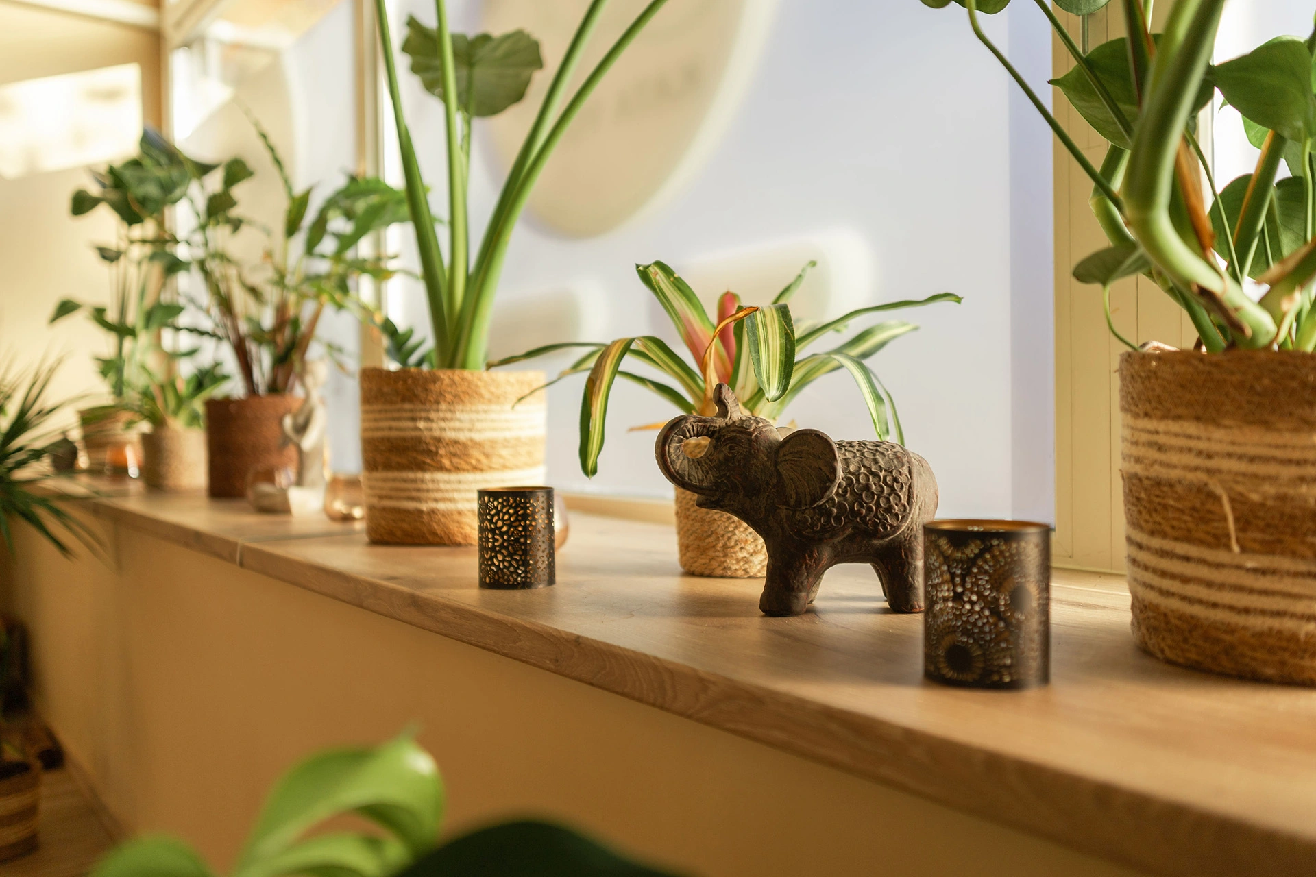 KataYoga-joga-pilates